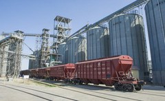 У вересні частка навантаження в зерновози УЗ зменшилась до 7,4%