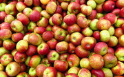 Ціна яблук в Україні тримається на максимумі за три роки