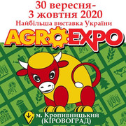Ігор Петрашко взяв участь у відкритті VIII міжнародної агропромислової виставки «АGROEXPO-2020» у Кропивницькому