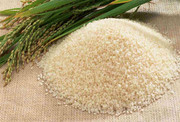 Новий врожай рису приніс нові розчарування аграріям Херсонщини