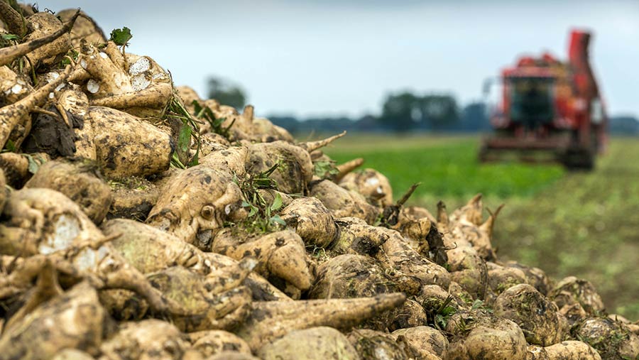Жнива-2020: В Україні зібрано майже 40 млн тонн зерна