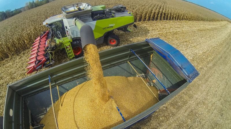 Жнива-2020: В Україні зібрано вже 71% зерна