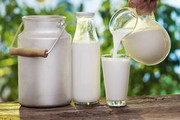 Експорт української молочки зменшився на 20%