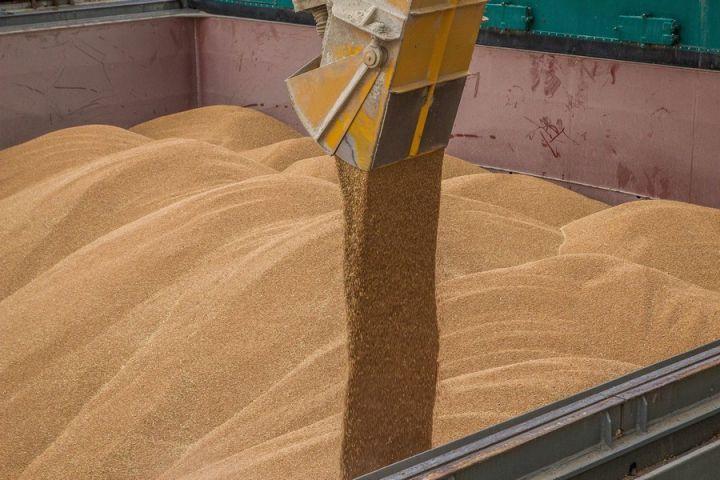 Росія планує ввести квоту на експорт зерна