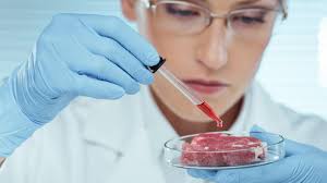 2,7 млн євро виділить ЄС на виробництво м’яса в лабораторіях