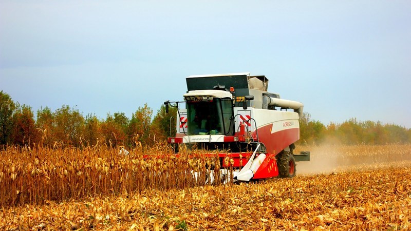 Жнива-2020: В Україні вже зібрано майже 49 млн тонн зерна