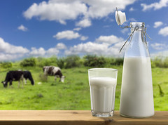 На переробні підприємства з початку року надійшло на 8,2% менше молока