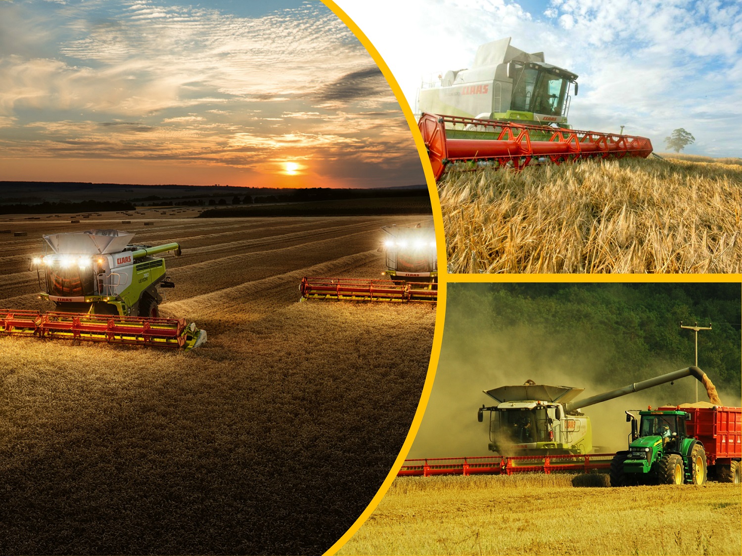 Жнива-2020: В Україні вже зібрано понад 53 млн тонн зерна