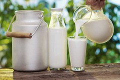 Виробники молока наполягають на перегляді цін сировини
