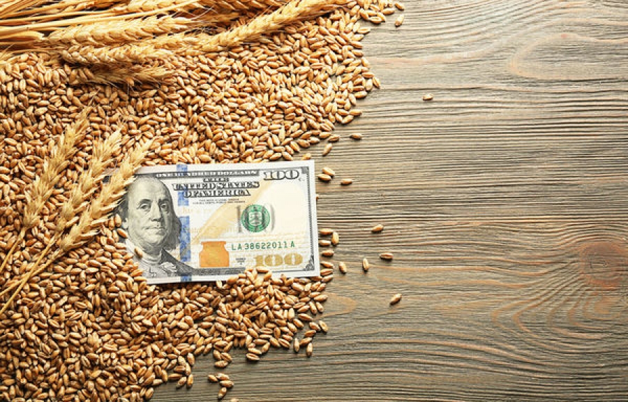 УЗА категорично проти запровадження державного регулювання цін на зерно
