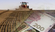 В Україні зросте число отримувачів держпідтримки в аграрному секторі