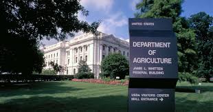 USDA снизило прогноз производства кукурузы в Украине на 22%