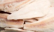 Виробництво замороженого рибного філе зросло на 40,9%, – Держрибагентство