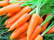 В Україні різко знизились ціни на моркву