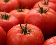 В Україні подорожчали імпортні томати