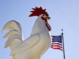 Почти на 20% выросли продажи курятины в США