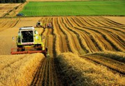Уряд знизив податкове навантаження на сільськогосподарські кооперативи