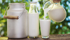 В Україні умовна прибутковість виробництва молока зменшилася на 9,6%