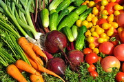 Цьогоріч Україна вдвічі знизила експорт насіння овочевих культур
