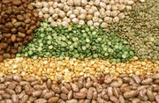 Стали відомі запаси зернових та бобових культур в Україні