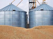 На Чернігівщині функціонує більше тисячі зерносховищ