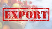 Названо ТОП-5 незвичайних для України експортних продуктів