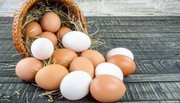 В Україні названо, чому зростає ціна на курячі яйця