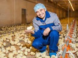 В 2020 в Казахстане введены в эксплуатацию 48 МТФ и 8 птицефабрик мясного направления