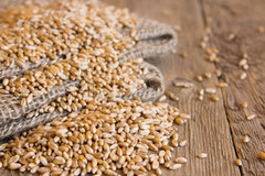 У Мінекономіки обговорили можливість внесення змін до зернового Меморандуму