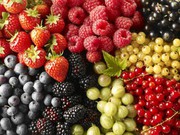Україна зменшила експорт плодово-ягідної продукції