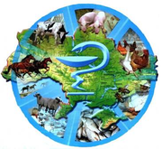 ВРУ ухвалила закон «Про ветеринарну медицину»