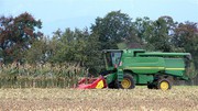 З України експортували майже 12 млн тонн кукурудзи