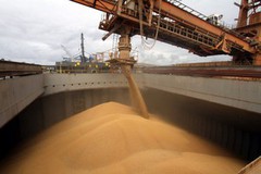 Мінекономіки прогнозує скорочення експорту українського зерна у 2020/21 МР на 20%