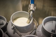 На початку року промислові підприємства збільшили виробництво молока