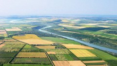 В Україні скорочується сільгоспвиробництво