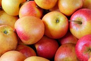 Україна другий сезон поспіль скорочує експорт яблук