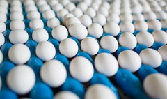 У січні промислове виробництво яєць скоротилося на 23%