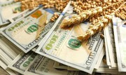 Озвучено причини зростання експортних цін на українську пшеницю