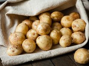 ТОП-5 областей-виробників картоплі