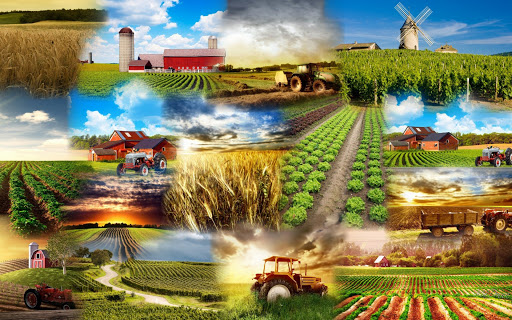 IFC розпочинає реалізацію в Україні проєкту підвищення ефективності сільського господарства в умовах глобальної зміни клімату