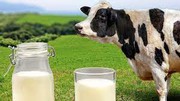 Моніторинг цін на молоко – з березня рахуємо по-новому