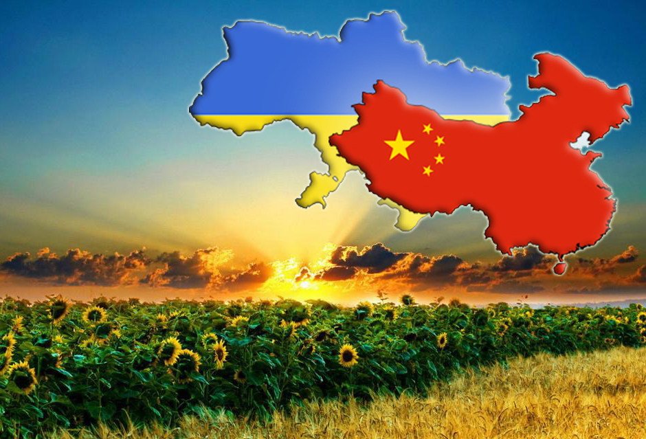 Україна зацікавлена в більш тісній співпраці з Китаєм в аграрній сфері – Качка