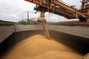 Падіння експорту зернових буде меншим: Мінекономіки переглянуло свій прогноз