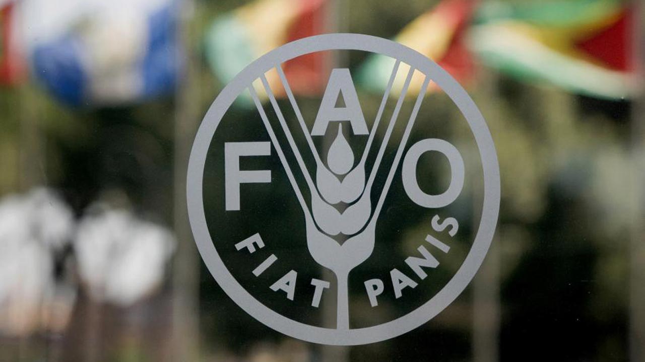 ФАО розглядає Україну як одного зі світових гарантів продовольчої безпеки