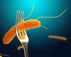 Контроль Salmonella без антибіотиков