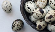 У 2020 році сільгосппідприємства отримали на 6% більше перепелиних яєць