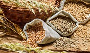 У березні порти України збільшили експорт зернових культур