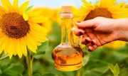 В Україні введуть квоти на експорт соняшникової олії