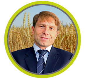 Через терни до світового визнання: 10 років функціонування Робочої зернової групи в Україні