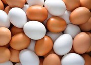 За І квартал середня ціна яєць зросла вдвічі